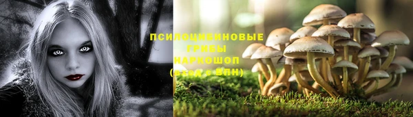 стаф Алексин