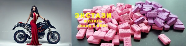 стаф Алексин