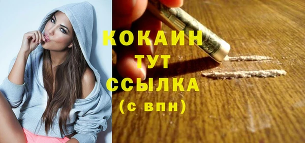 молекула духа Пестово
