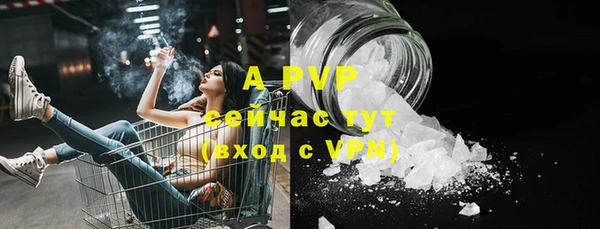 стаф Алексин